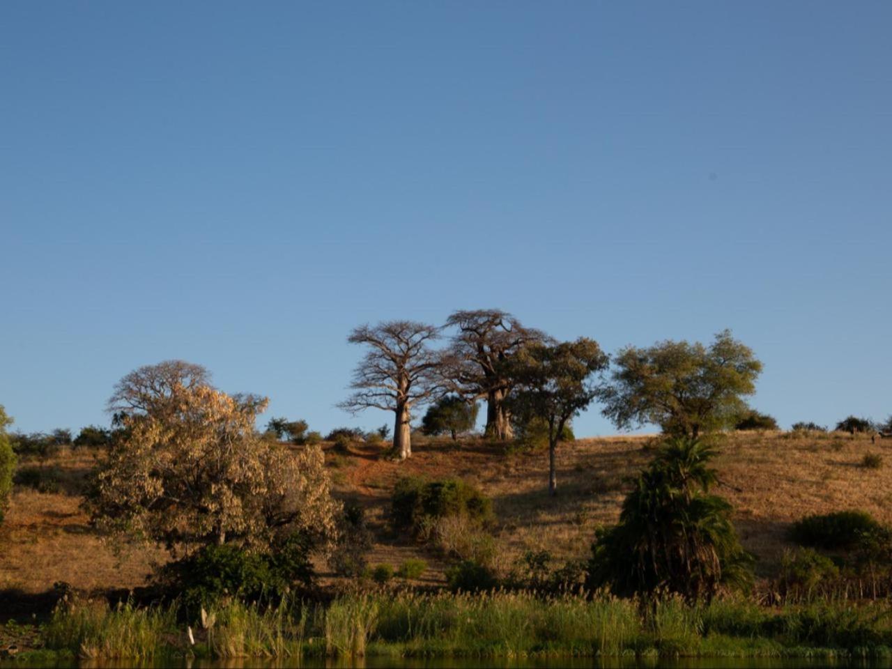 Kayova River Lodge Ndiyona Экстерьер фото